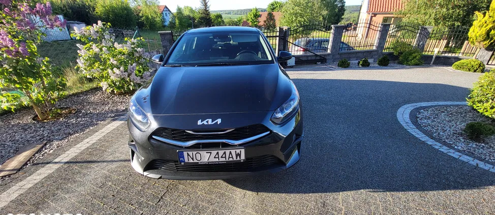 Kia Ceed cena 77900 przebieg: 49026, rok produkcji 2022 z Olsztyn małe 92